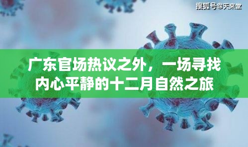 廣東熱議之外，十二月自然之旅尋求內心平靜
