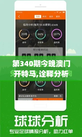 第340期今晚澳門開特馬,詮釋分析解析_iPad11.418-9