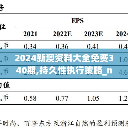 2024新澳資料大全免費340期,持久性執行策略_nShop6.848-1