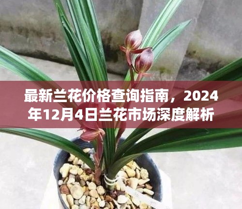 鳥聲獸心 第2頁