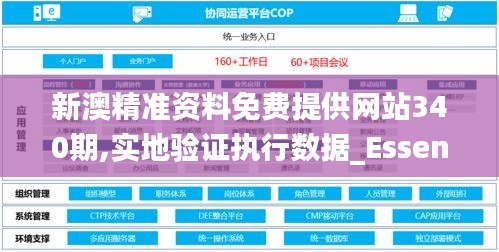 新澳精準(zhǔn)資料免費(fèi)提供網(wǎng)站340期,實(shí)地驗(yàn)證執(zhí)行數(shù)據(jù)_Essential14.519-2