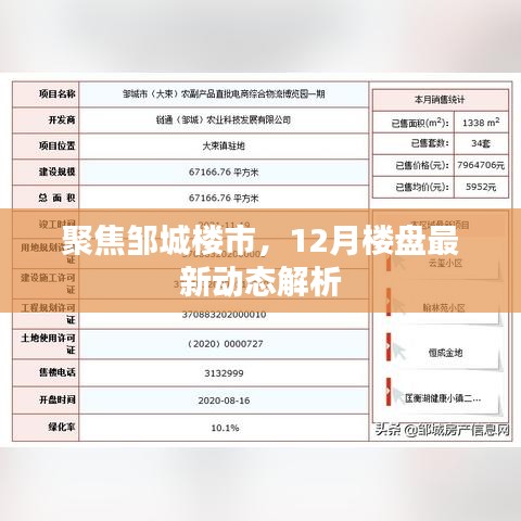鄒城樓市聚焦，12月樓盤最新動態深度解析