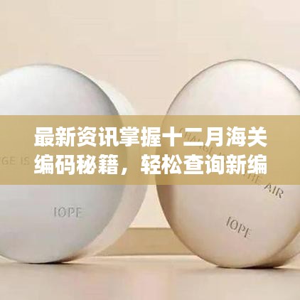 十二月海關編碼秘籍，最新資訊助你輕松掌握新編碼查詢！