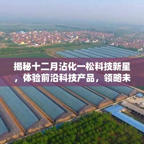 揭秘沾化一松科技新星，前沿科技產品體驗之旅，領略未來生活新篇章
