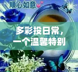 多彩投日常，溫馨特別的12月4日紀事