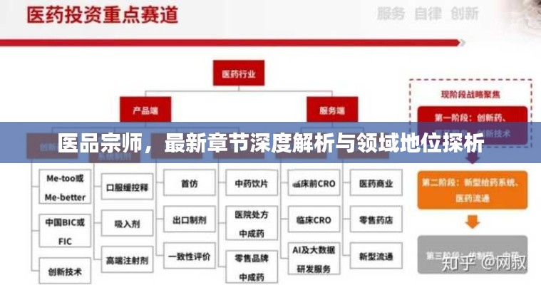 醫(yī)品宗師深度解析與領(lǐng)域地位探討