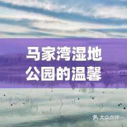 馬家灣濕地公園的溫馨日常，冬日友誼與陪伴的故事