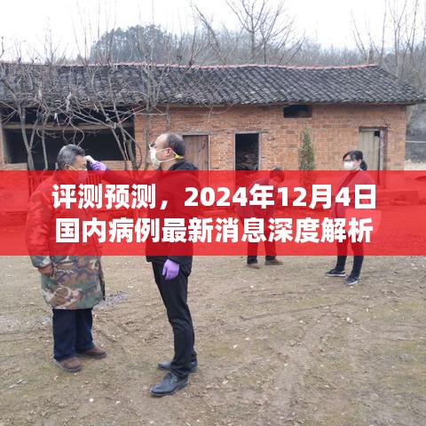深度解析，2024年12月4日國內病例最新消息與趨勢預測