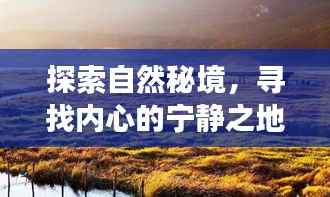 云傾十二月之旅，探尋自然秘境，尋覓內(nèi)心寧靜之地