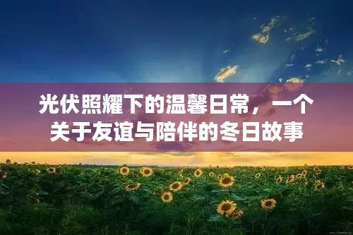光伏照耀下的冬日友情與陪伴故事