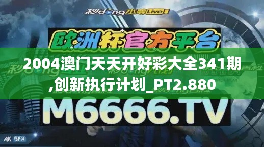 2004澳門天天開好彩大全341期,創新執行計劃_PT2.880