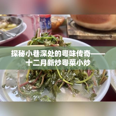 探秘小巷深處的粵味傳奇，十二月新炒粵菜小炒盛宴