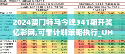 2024澳門特馬今晚341期開獎億彩網,可靠計劃策略執行_UHD版2.802