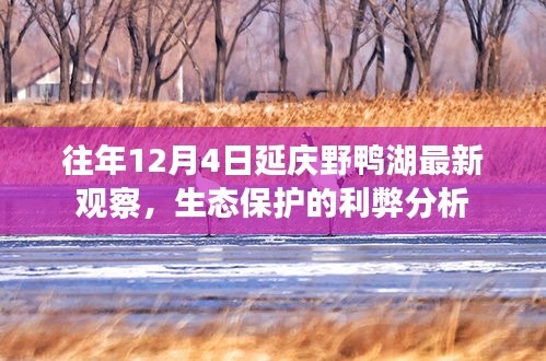 往年野鴨湖最新觀察，生態(tài)保護(hù)利弊分析