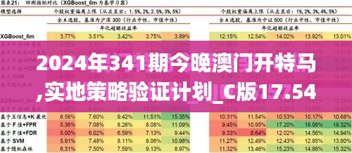 2024年341期今晚澳門開特馬,實地策略驗證計劃_C版17.545