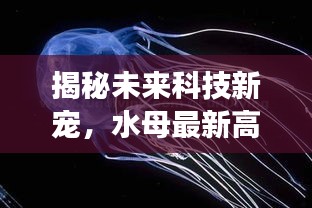 揭秘未來科技新星，水母智能產品引領超乎想象的智能生活革新
