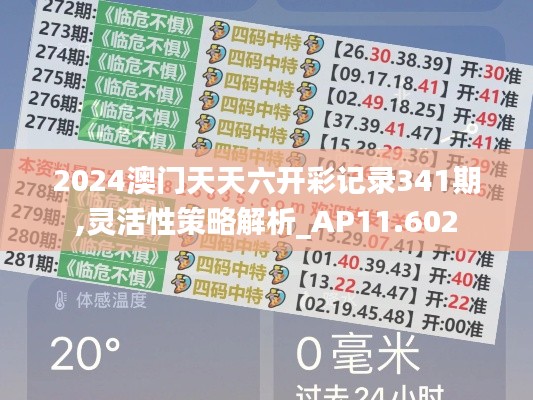 2024澳門天天六開彩記錄341期,靈活性策略解析_AP11.602