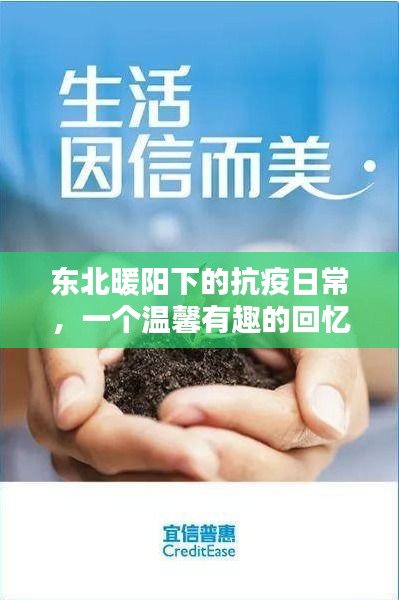 東北暖陽下的抗疫日常，溫馨有趣的回憶之旅