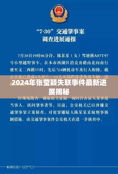 張瑩穎失聯(lián)事件最新進(jìn)展揭秘，最新消息與進(jìn)展（2024年）