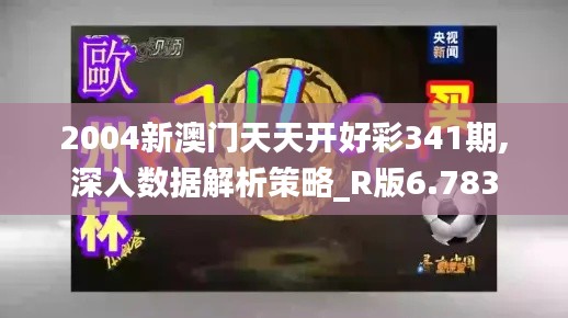 2004新澳門天天開好彩341期,深入數(shù)據(jù)解析策略_R版6.783