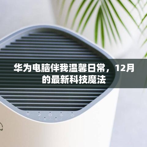 華為電腦助力溫馨日常，12月最新科技魔法體驗
