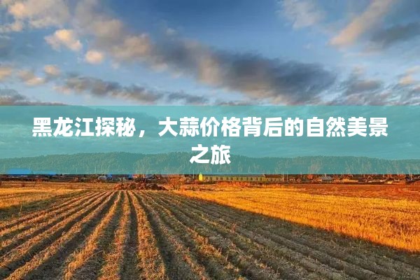 黑龍江探秘之旅，大蒜價格背后的自然美景探尋