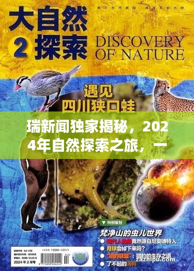 瑞新聞獨家揭秘，2024年尋找內心平靜的奇妙自然探索之旅
