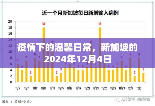 新加坡疫情下的溫馨日常，2024年12月4日的記錄