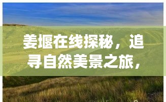 姜堰在線探秘之旅，追尋自然美景，心靈寧靜的啟程