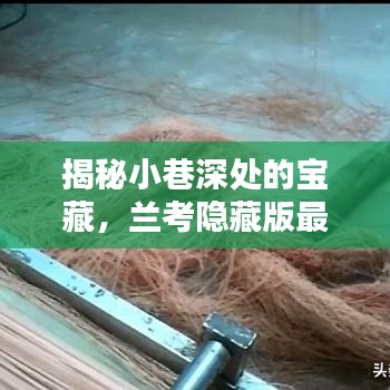 蘭考小巷深處的寶藏，最新房價揭秘與特色小店的獨特魅力