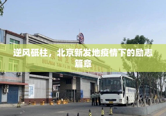北京新發(fā)地疫情下的逆風(fēng)砥柱勵志篇章