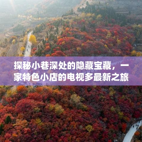 探秘小巷深處的獨特寶藏，一家特色小店的電視之旅