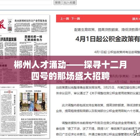郴州人才涌動，盛大招聘活動揭秘——十二月四號的人才盛宴