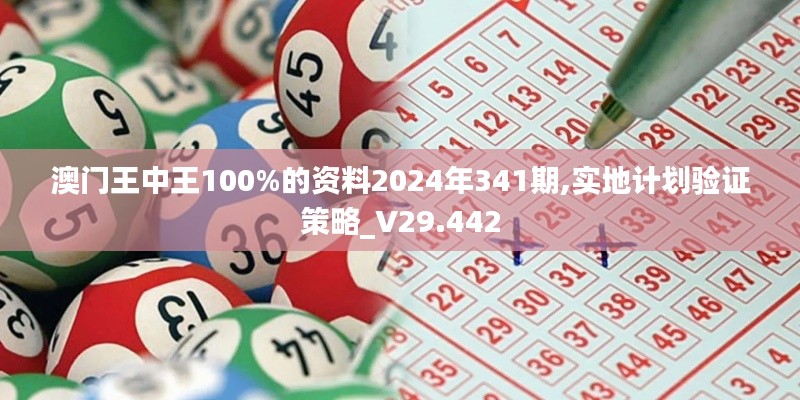 澳門王中王100%的資料2024年341期,實(shí)地計(jì)劃驗(yàn)證策略_V29.442