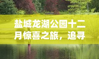 鹽城龍湖公園十二月，追尋寧靜，擁抱自然的魔法之旅