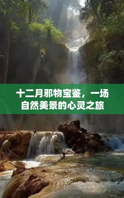 十二月邪物寶鑒，自然美景的心靈之旅