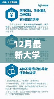 最新大學政策詳解與操作指南，完成大學任務的必備攻略