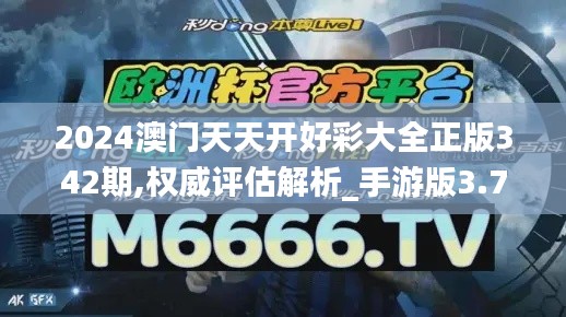 2024澳門天天開好彩大全正版342期,權威評估解析_手游版3.757