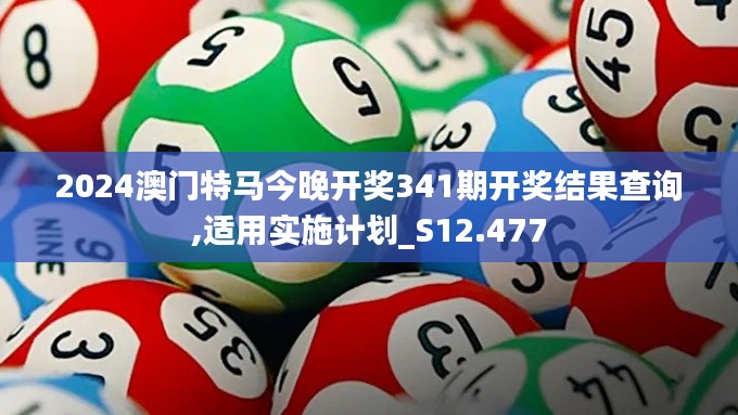2024澳門特馬今晚開獎341期開獎結果查詢,適用實施計劃_S12.477