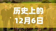 TVB電視帶你穿越歷史，探尋自然美景與內心寧靜之旅——12月6日的探索之旅