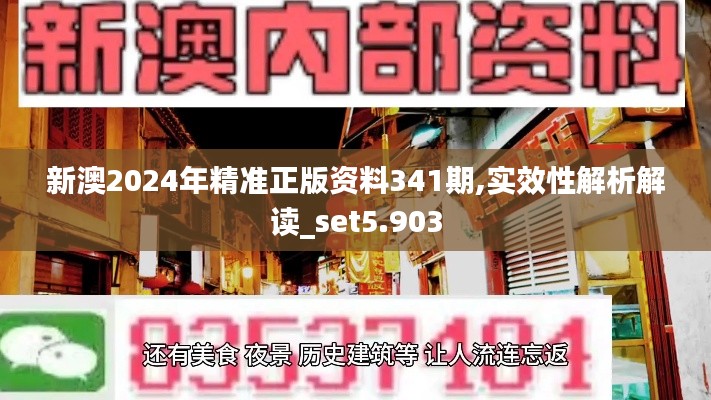 新澳2024年精準(zhǔn)正版資料341期,實(shí)效性解析解讀_set5.903