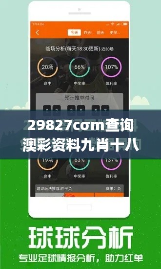 29827cσm查詢澳彩資料九肖十八碼,深度調(diào)查解析說明_AP110.317