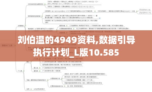 劉伯溫的4949資料,數據引導執行計劃_L版10.585