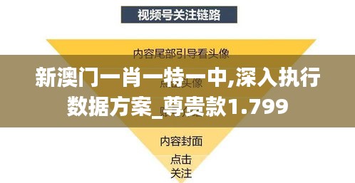 新澳門一肖一特一中,深入執行數據方案_尊貴款1.799