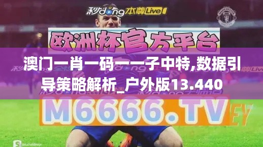 澳門一肖一碼一一子中特,數據引導策略解析_戶外版13.440