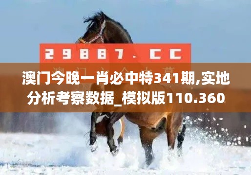 澳門今晚一肖必中特341期,實地分析考察數據_模擬版110.360
