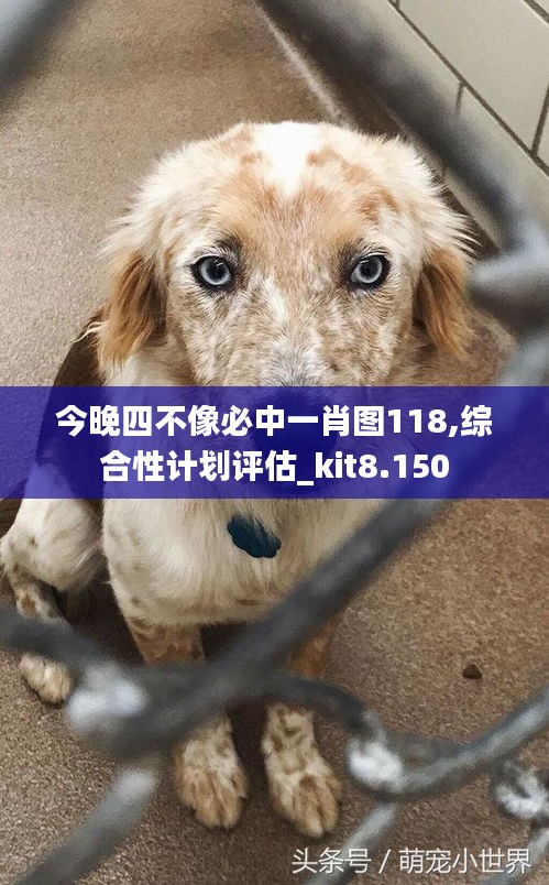 今晚四不像必中一肖圖118,綜合性計劃評估_kit8.150