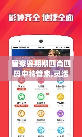 管家婆期期四肖四碼中特管家,靈活實施計劃_Device2.584