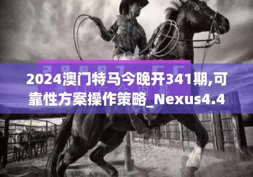2024澳門(mén)特馬今晚開(kāi)341期,可靠性方案操作策略_Nexus4.445