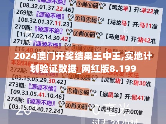 2024澳門開獎結果王中王,實地計劃驗證數據_網紅版8.199